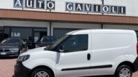 FIAT DOBLO CARGO CH1 LOUNGE 1.3 Mjet 95cv E6D S&S