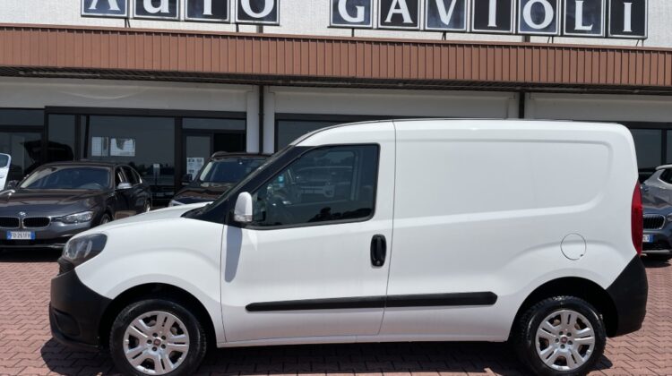 FIAT Doblò 1.3 MJT PC-TN Cargo Lamierato SX Euro 6b