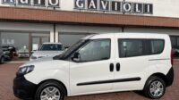 FIAT DOBLO CARGO CH1 EASY 1.3 Mjet 95cv E6D N1 5POSTI