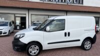 FIAT DOBLO 1.3 MULTIJET DOPPIA PORTA EURO 6B