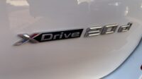 Bmw X3 XDrive 20d Business Advantage 190cv My19 Euro 6D-Temp.